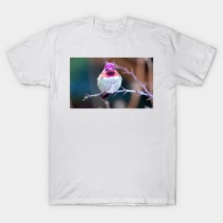 Anna's Hummingbird on a Barberry Bush T-Shirt